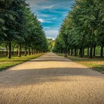 How to Compare Bad Credit Personal Loans: Finding the Best Option